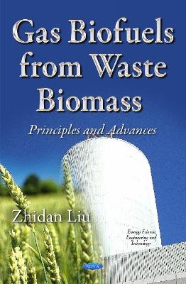 Gas Biofuels from Waste Biomass - 