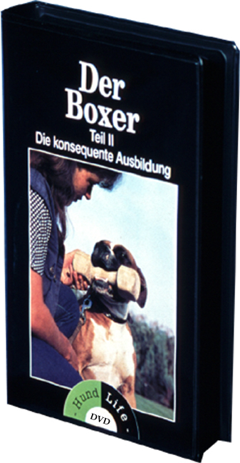 Der Boxer - Alfons Niedenzu