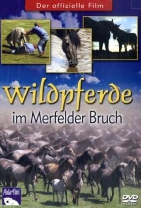 Wildpferde im Meerfelder Bruch, DVD