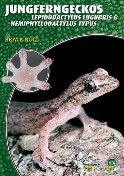 Jungferngeckos - Beate Röll