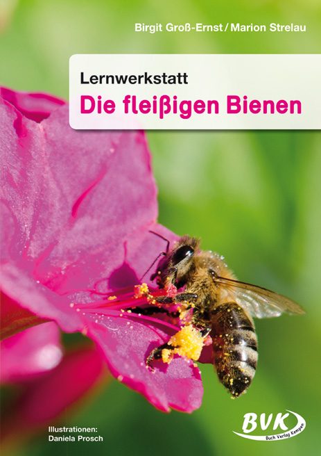 Lernwerkstatt Die fleißigen Bienen - Birgit Groß-Ernst, Marion Strelau