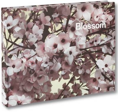 Blossom - Thomas Demand, Ben Lerner