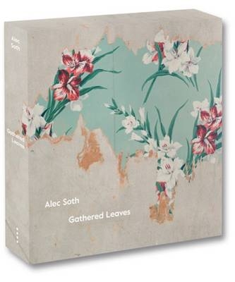 Gathered Leaves - Alec Soth
