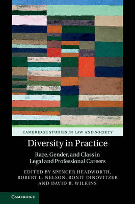 Diversity in Practice - 