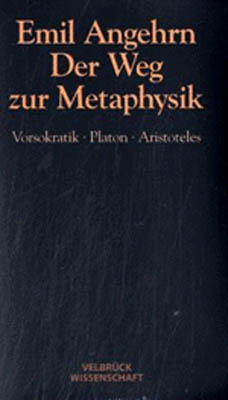 Der Weg zur Metaphysik - Studienausgabe - Emil Angehrn