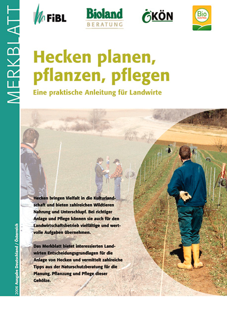 Hecken planen, pflanzen, pflegen - Eva Meyerhoff