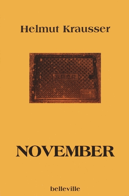 November - Helmut Krausser