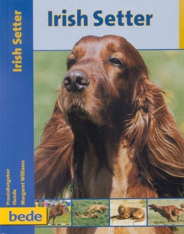 Praxisratgeber Irish Setter - Margaret Williams