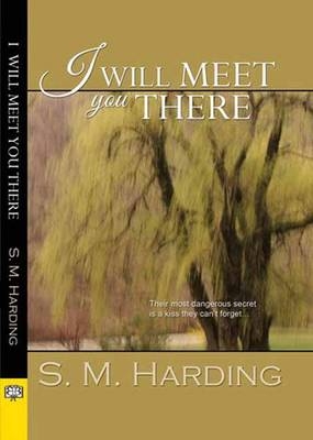 I Will Meet You There - S. M. Harding