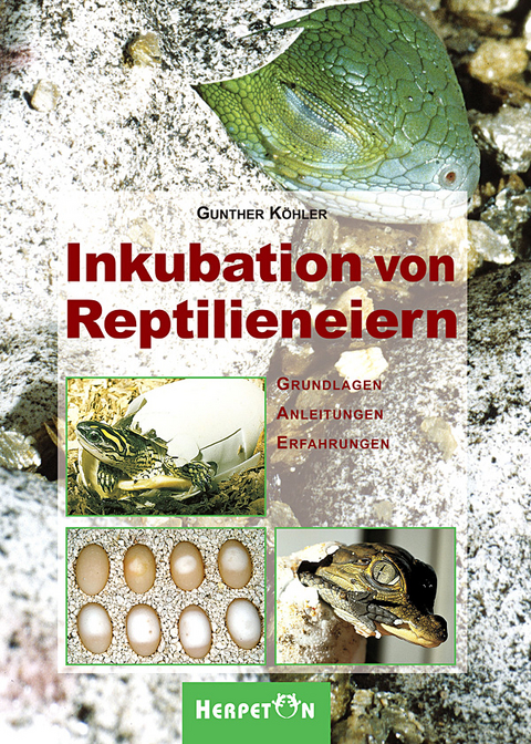 Inkubation von Reptilieneiern - Gunther Köhler