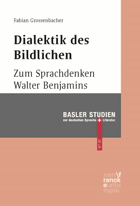 Dialektik des Bildlichen - Fabian Grossenbacher