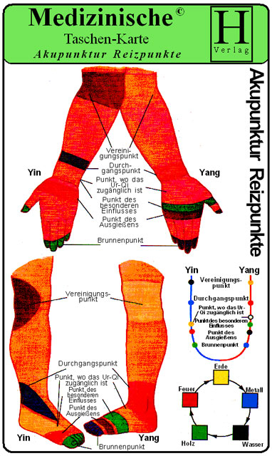 Akupunktur Reizpunkte - Medizinische Taschen-Karte