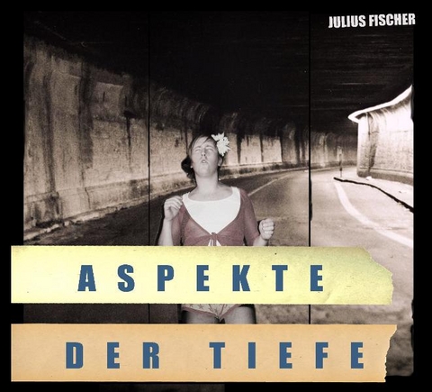 Julius Fischer - Aspekte der Tiefe - Julius Fischer, Christian Meyer,  The Fuck Hornisschen Orchestra