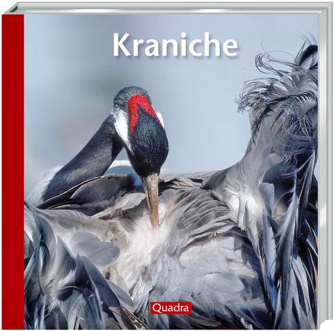 Kraniche - Willi Rolfes