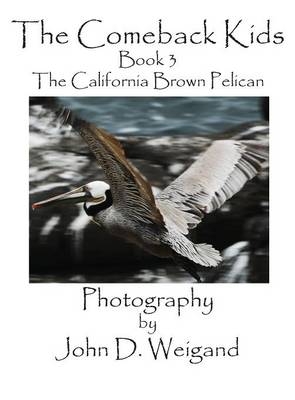 The Comeback Kids, Book 3, the California Brown Pelican - Penelope Dyan