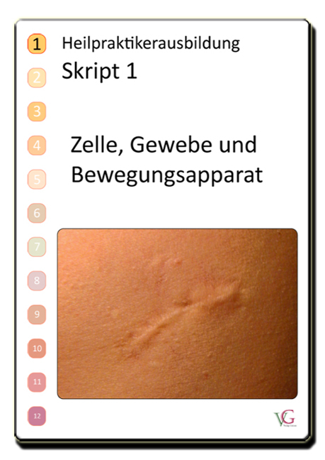 Heilpraktiker.  Heilpraktikerausbildung Skript 1.  Zelle, Gewebe und Bewegungsapparat - P. Grimm