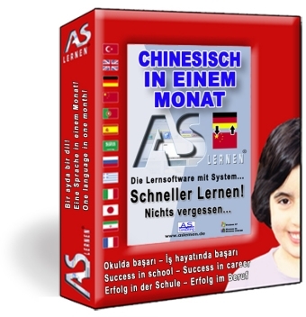 Chinesisch in einem Monat, CD-ROM