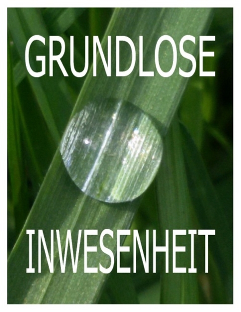 Grundlose Inwesenheit - Tom de Toys