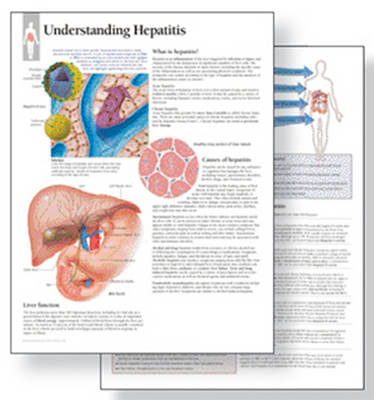 Understanding Hepatitis Study Set Replacement Pads -  Scientific Publishing