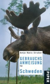 Gebrauchsanweisung für Schweden - Antje Rávic Strubel