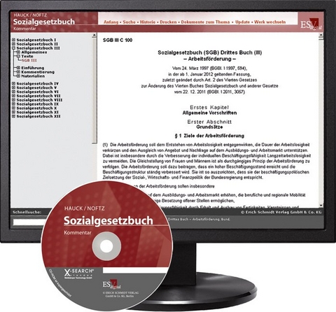 Sozialgesetzbuch (SGB) III: Arbeitsförderung - Abonnement - Renate Daumann, Ruprecht Großmann, Dietrich Hengelhaupt, Martin Kühl, Hans Arno Petzold, Olaf Rademacker, Astrid Radüge, Bernhard Scholz, Jutta Siefert, Hinnerk Timme, Leandro Valgolio, Thomas Voelzke