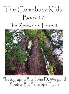 The Comeback Kids, Book 12, the Redwood Forest - Penelope Dyan
