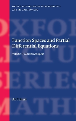 Function Spaces and Partial Differential Equations - Ali Taheri