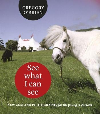 See What I can See -  O'Brien Gregory