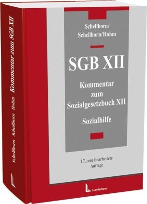 Kommentar zum SGB XII - Walter Schellhorn, Helmut Schellhorn, Karl H Hohm