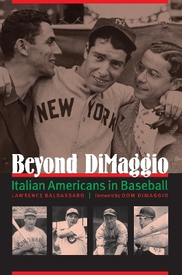 Beyond DiMaggio - Lawrence Baldassaro