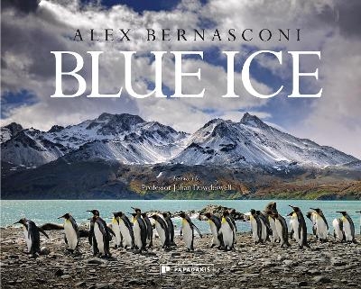 Blue Ice - Alex Bernasconi