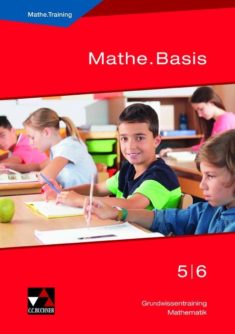 Mathe.Training / Mathe.Basis 5/6 - Ulrike Schätz