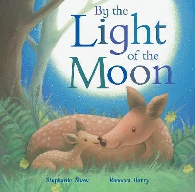 By the Light of the Moon - Stephanie Shaw