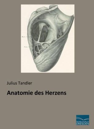Anatomie des Herzens - Julius Tandler