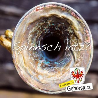 Spinnsch iatz?, 1 Audio-CD -  Blaskapelle Gehörsturz