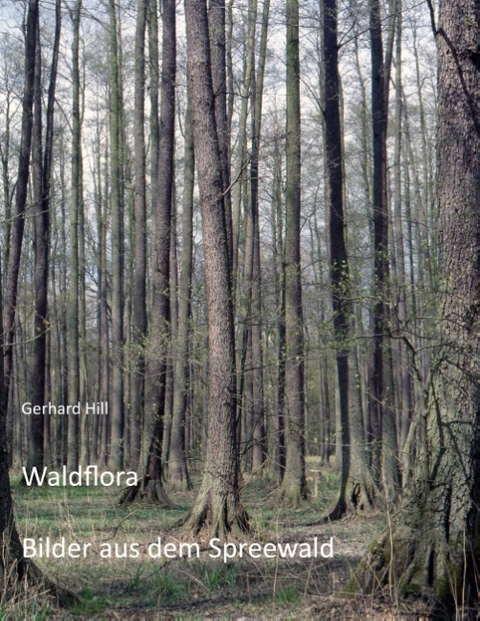 Waldflora - Gerhard Hill