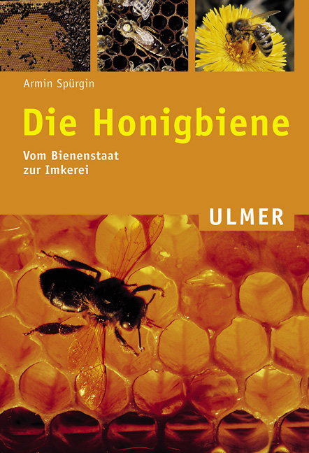 Die Honigbiene - Armin Spürgin