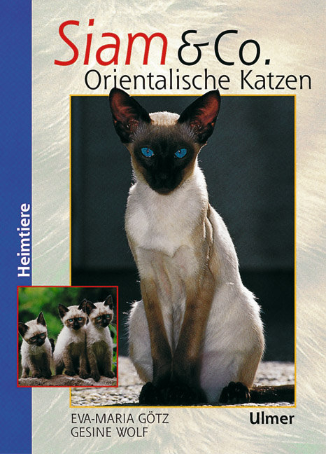 Siam & Co. Orientalische Katzen - Eva-Maria Götz, Gesine Wolf