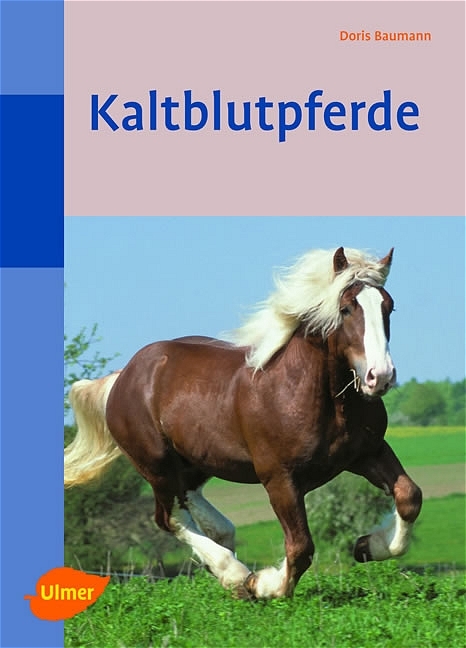 Kaltblutpferde - Doris Baumann