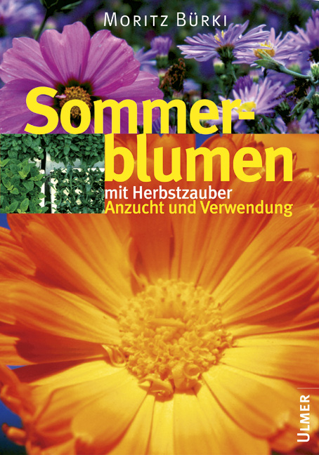 Bildatlas Sommerblumen mit Herbstzauber - Moritz Bürki