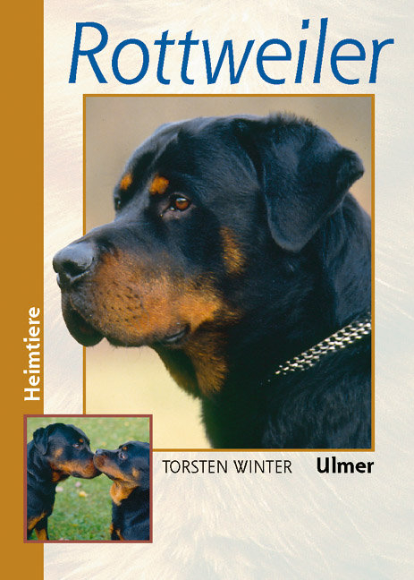 Rottweiler - Torsten Winter