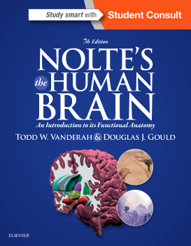 Nolte's The Human Brain - Todd Vanderah, Douglas Gould