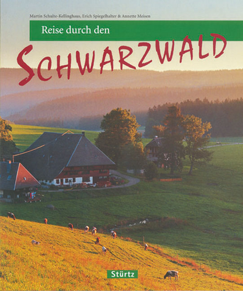 Reise durch den Schwarzwald - Annette Meisen