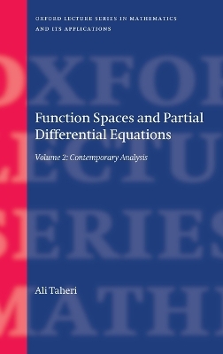 Function Spaces and Partial Differential Equations - Ali Taheri