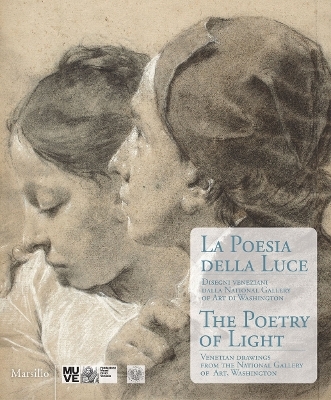 The Poetry of Light - Andrew Robison