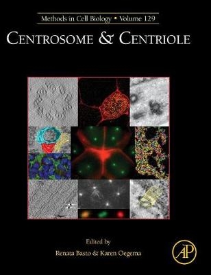 Centrosome and Centriole - 