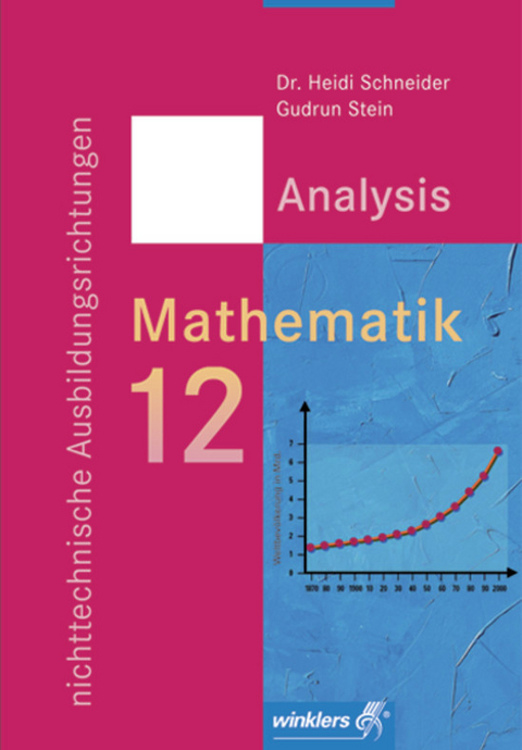 Mathematik für die berufliche Oberstufe - Nichttechnische Ausbildungsrichtungen - Heidi Schneider, Gudrun Stein