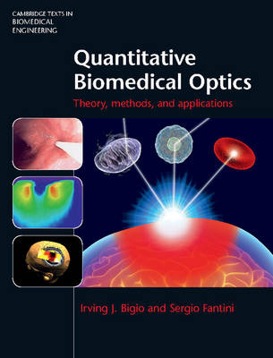 Quantitative Biomedical Optics - Irving J. Bigio, Sergio Fantini