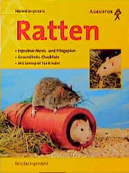 Ratten - Felicitas Ingendahl
