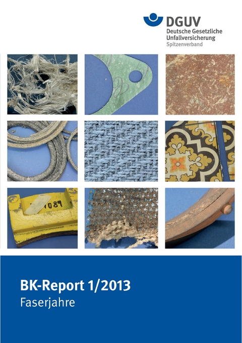 BK-Report 1/2013 Faserjahre